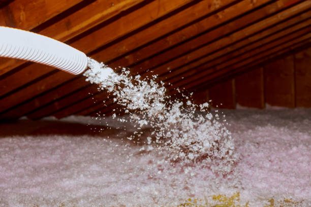 Best Insulation Maintenance and Repair in Red Boiling Springs, TN