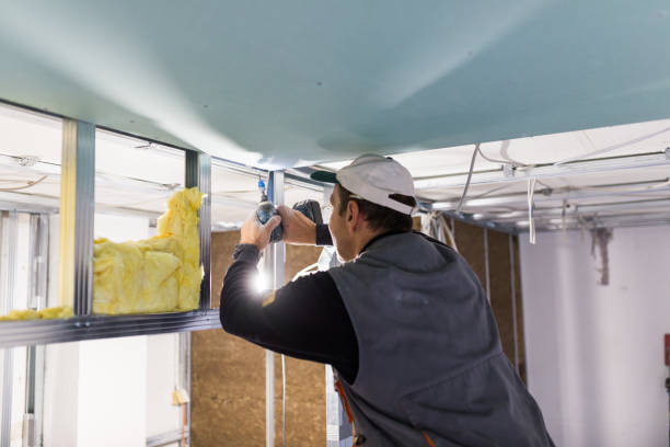 Best Insulation Installation Services in Red Boiling Springs, TN